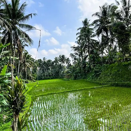 Villa Suci By Di Ubud